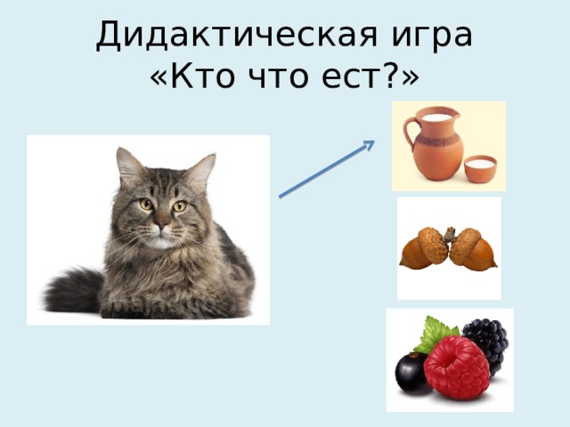 Дидактическая игра  «Кто что ест?» 