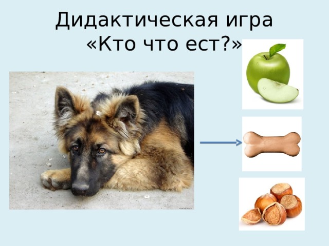 Дидактическая игра  «Кто что ест?» 
