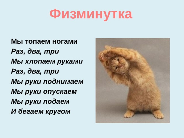 Физминутка  Мы топаем ногами Раз, два, три Мы хлопаем руками Раз, два, три Мы руки поднимаем Мы руки опускаем Мы руки подаем И бегаем кругом 