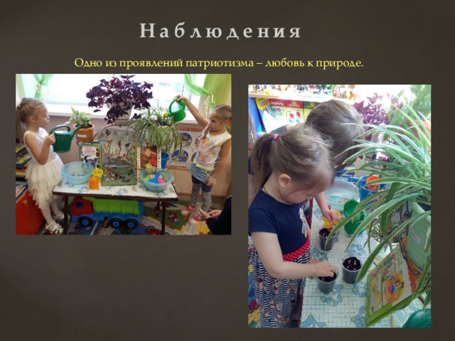 Наблюдения   Одно из проявлений патриотизма – любовь к природе.    