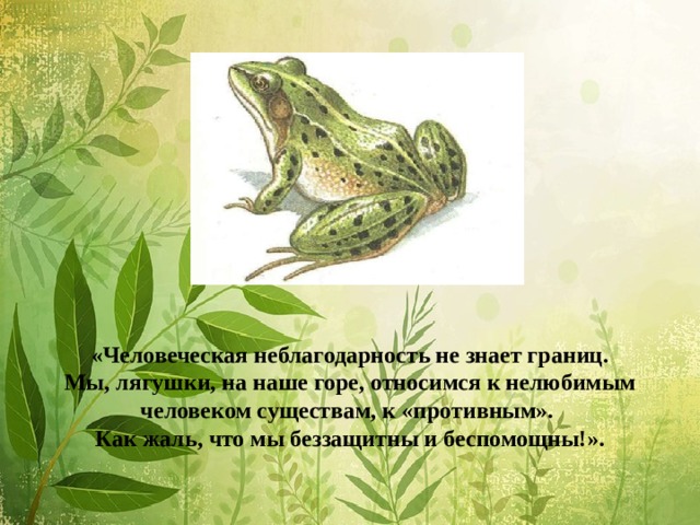                «Человеческая неблагодарность не знает границ.  Мы, лягушки, на наше горе, относимся к нелюбимым человеком существам, к «противным».  Как жаль, что мы беззащитны и беспомощны!». 