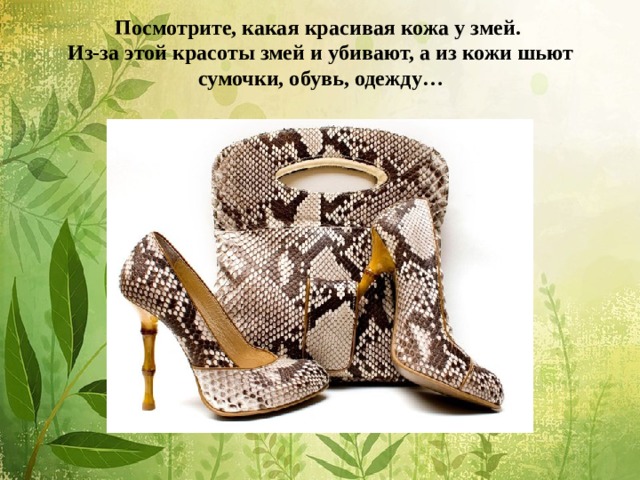 Посмотрите, какая красивая кожа у змей.  Из-за этой красоты змей и убивают, а из кожи шьют сумочки, обувь, одежду…    