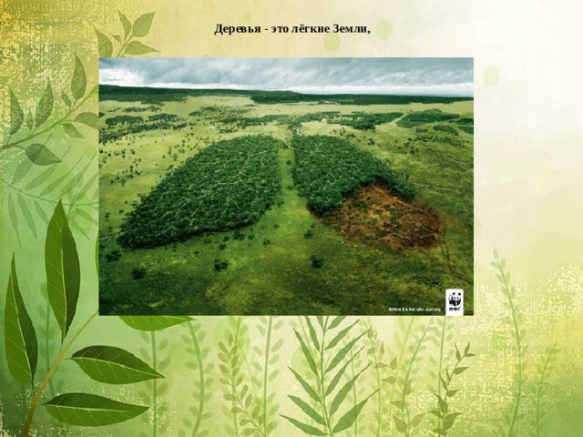  Деревья - это лёгкие Земли,           зелёное ожерелье планеты.            