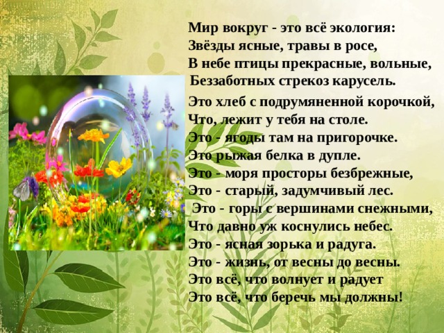 Мир вокруг - это всё экология: Звёзды ясные, травы в росе, В небе птицы прекрасные, вольные,  Беззаботных стрекоз карусель. Это хлеб с подрумяненной корочкой, Что, лежит у тебя на столе. Это - ягоды там на пригорочке. Это рыжая белка в дупле. Это - моря просторы безбрежные, Это - старый, задумчивый лес.  Это - горы с вершинами снежными, Что давно уж коснулись небес. Это - ясная зорька и радуга. Это - жизнь, от весны до весны. Это всё, что волнует и радует Это всё, что беречь мы должны! 