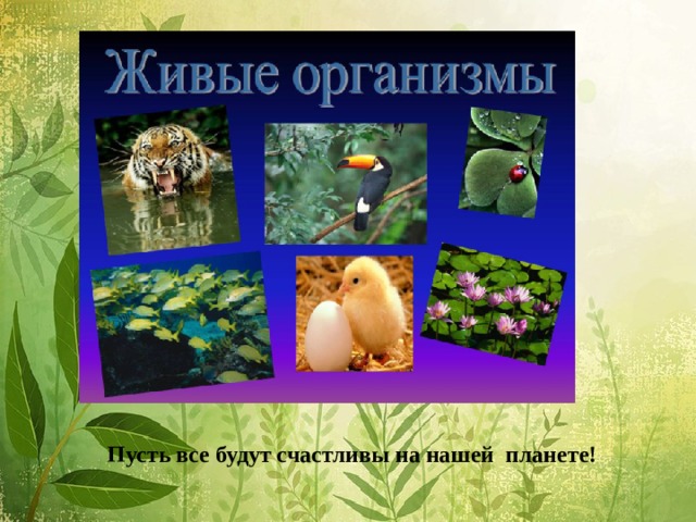 Пусть все будут счастливы на нашей планете! 