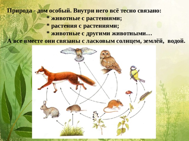 Природа - дом особый. Внутри него всё тесно связано:  * животные с растениями;  * растения с растениями;  * животные с другими животными…  А все вместе они связаны с ласковым солнцем, землёй, водой.   