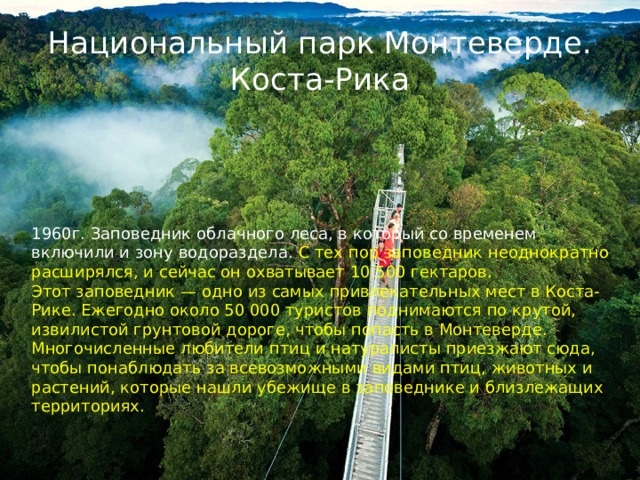 Национальный парк Монтеверде. Коста-Рика 1960г. Заповедник облачного леса, в который со временем включили и зону водораздела. С тех пор заповедник неоднократно расширялся, и сейчас он охватывает 10 500 гектаров. Этот заповедник — одно из самых привлекательных мест в Коста-Рике. Ежегодно около 50 000 туристов поднимаются по крутой, извилистой грунтовой дороге, чтобы попасть в Монтеверде. Многочисленные любители птиц и натуралисты приезжают сюда, чтобы понаблюдать за всевозможными видами птиц, животных и растений, которые нашли убежище в заповеднике и близлежащих территориях. 