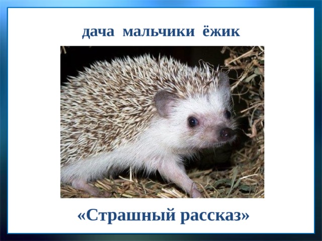 дача мальчики ёжик «Страшный рассказ» 