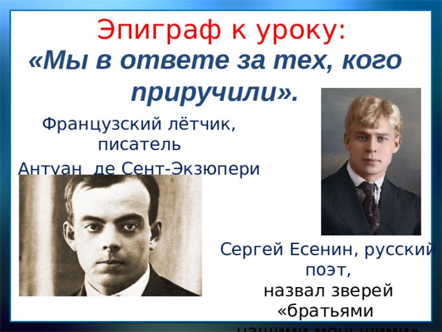 Эпиграф к уроку: «Мы в ответе за тех, кого приручили». Французский лётчик, писатель Антуан де Сент-Экзюпери Сергей Есенин, русский поэт, назвал зверей «братьями нашими меньшими» 
