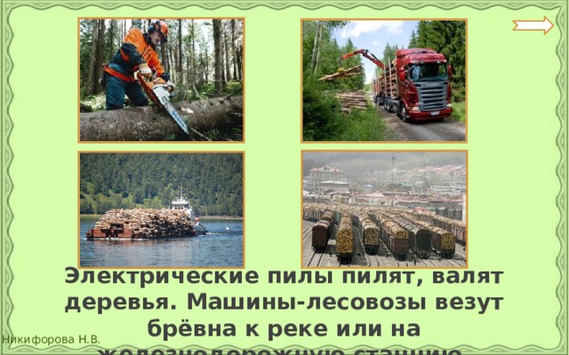  Электрические пилы пилят, валят деревья. Машины-лесовозы везут брёвна к реке или на железнодорожную станцию. 