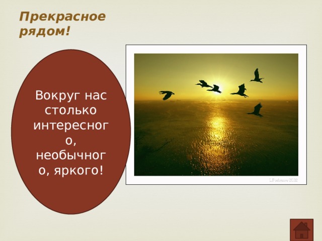 Прекрасное рядом! Вокруг нас столько интересного, необычного, яркого! 