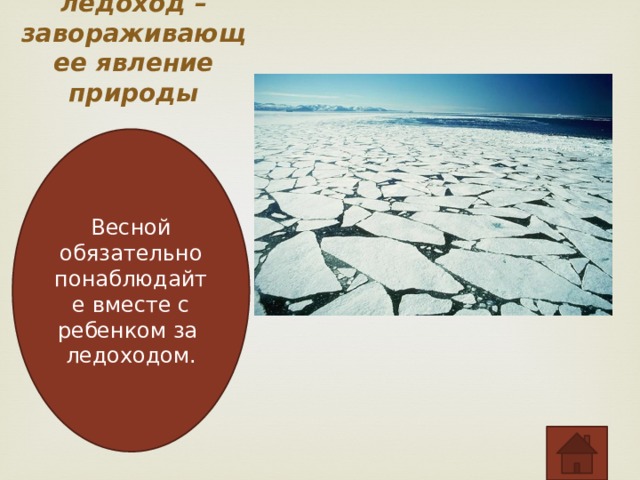 Весенний ледоход – завораживающее явление природы   Весной обязательно понаблюдайте вместе с ребенком за ледоходом. 