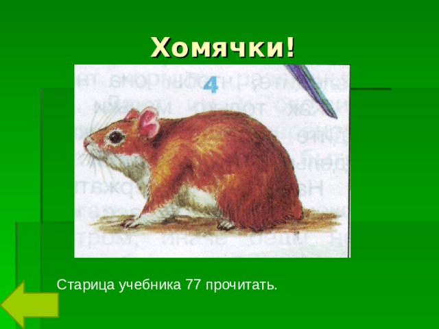 Хомячки! Старица учебника 77 прочитать. 