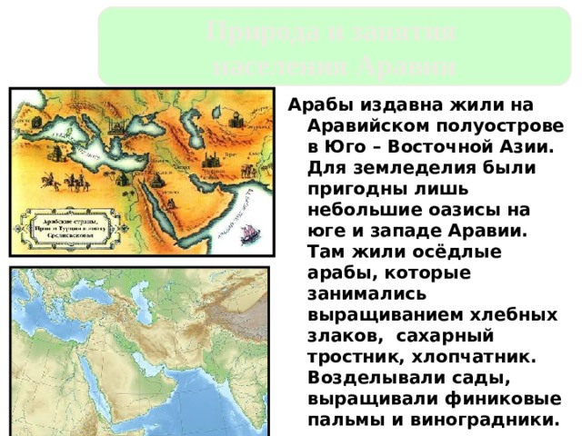 Природа и занятия населения Аравии Арабы издавна жили на Аравийском полуострове в Юго – Восточной Азии. Для земледелия были пригодны лишь небольшие оазисы на юге и западе Аравии. Там жили осёдлые арабы, которые занимались выращиванием хлебных злаков, сахарный тростник, хлопчатник. Возделывали сады, выращивали финиковые пальмы и виноградники. 