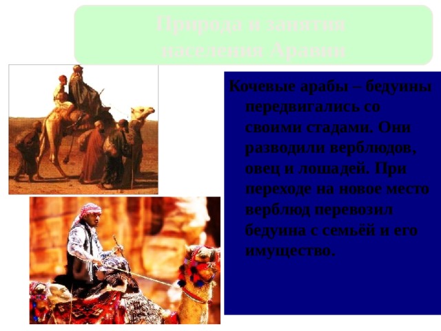Природа и занятия населения Аравии Кочевые арабы – бедуины передвигались со своими стадами. Они разводили верблюдов, овец и лошадей. При переходе на новое место верблюд перевозил бедуина с семьёй и его имущество. 