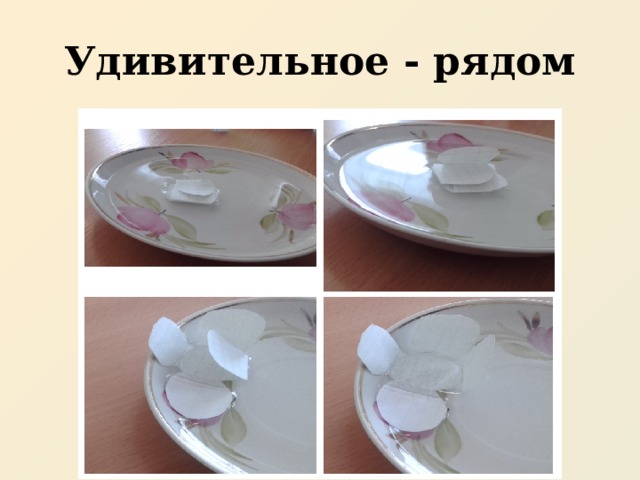 Удивительное - рядом 