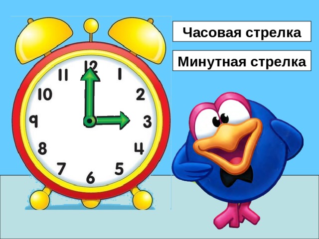 Часовая стрелка Минутная стрелка 