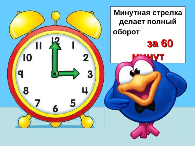 Минутная стрелка делает полный оборот  за 60 минут 