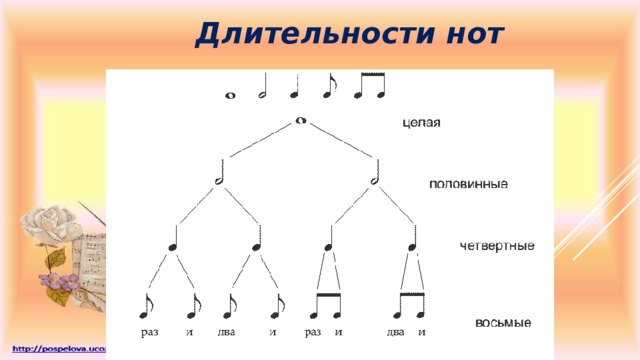 Длительности нот 