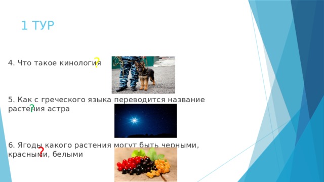 1 ТУР ? 4. Что такое кинология 5. Как с греческого языка переводится название растения астра  6. Ягоды какого растения могут быть черными, красными, белыми ? ? 