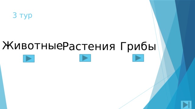 3 тур Животные Растения Грибы 