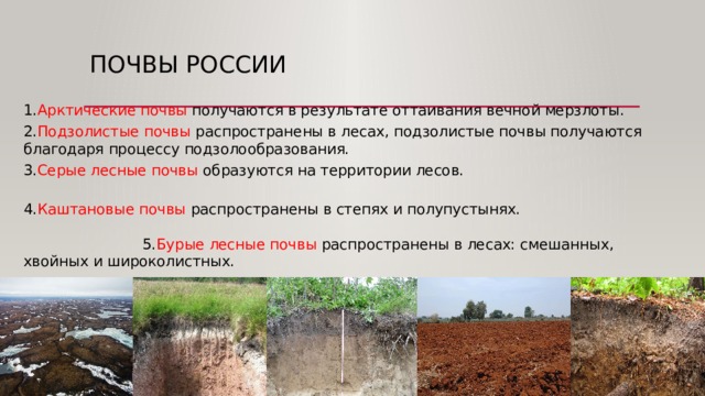 Почвы России 1. Арктические почвы получаются в результате оттаивания вечной мерзлоты.  2. Подзолистые почвы распространены в лесах, подзолистые почвы получаются благодаря процессу подзолообразования.  3. Серые лесные почвы образуются на территории лесов.  4. Каштановые почвы распространены в степях и полупустынях.   5. Бурые лесные почвы распространены в лесах: смешанных, хвойных и широколистных.          