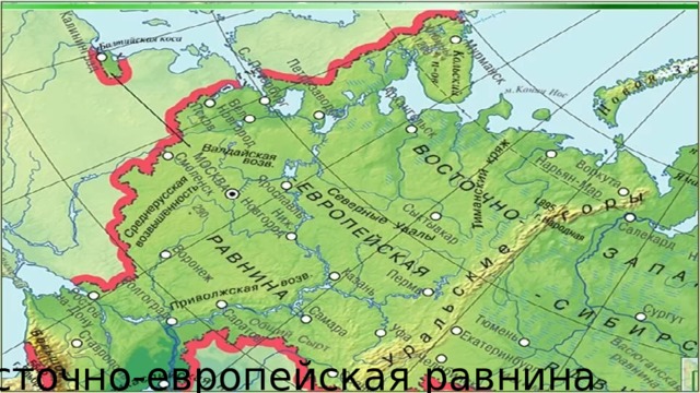 Восточно-европейская равнина 