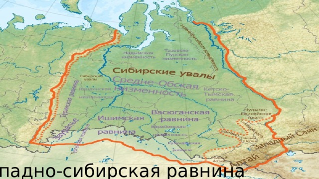 Западно-сибирская равнина 