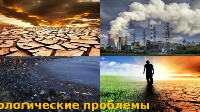 Экологические проблемы 