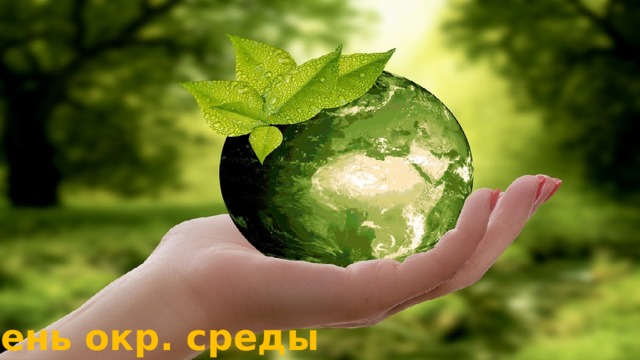 День окр. среды 