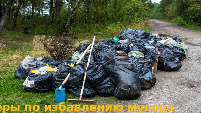 Меры по избавлению мусора 