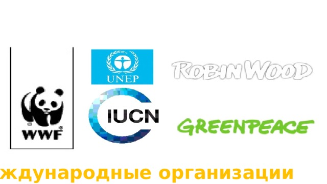 Международные организации 