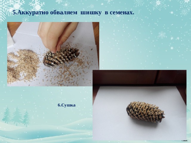             . 7. Сушка.         6.Сушка        5.Аккуратно обваляем шишку в семенах. 
