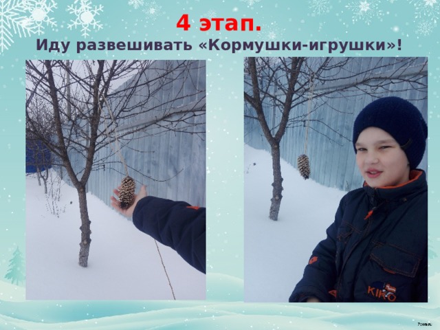 4 этап.  Иду развешивать «Кормушки-игрушки»! 