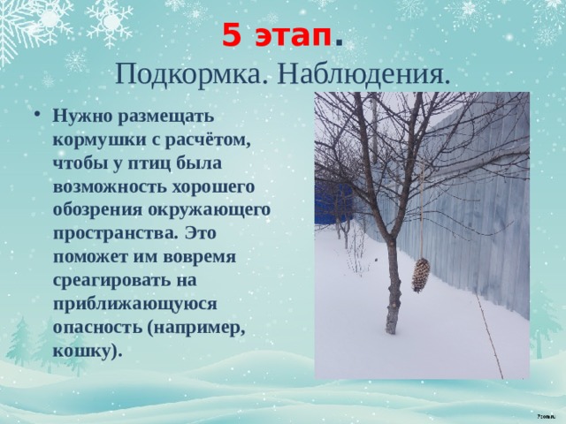 5 этап .  Подкормка. Наблюдения.   Нужно размещать кормушки с расчётом, чтобы у птиц была возможность хорошего обозрения окружающего пространства. Это поможет им вовремя среагировать на приближающуюся опасность (например, кошку). 