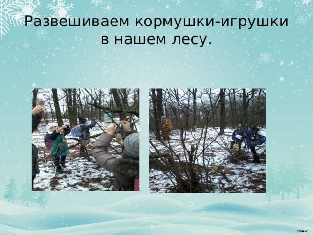 Развешиваем кормушки-игрушки в нашем лесу. 