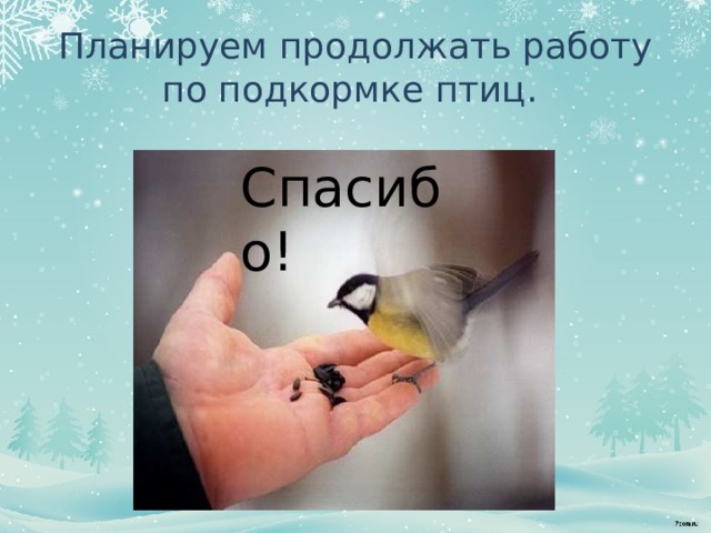 Планируем продолжать работу по подкормке птиц. Спасибо! 