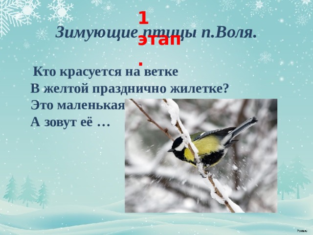 1 этап. Зимующие птицы п.Воля.   Кто красуется на ветке  В желтой празднично жилетке?    Это маленькая птичка,  А зовут её …   