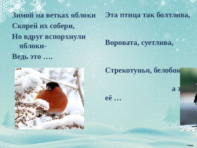   Эта птица так болтлива, Воровата, суетлива, Стрекотунья, белобока, а зовут её … Зимой на ветках яблоки Скорей их собери, Но вдруг вспорхнули яблоки- Ведь это …. 