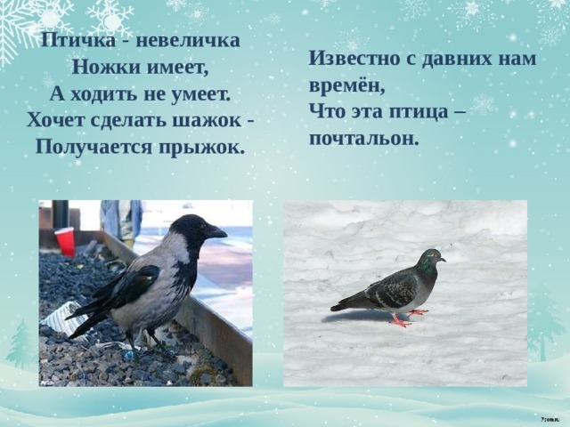 Птичка - невеличка  Ножки имеет,  А ходить не умеет.  Хочет сделать шажок -  Получается прыжок.   Известно с давних нам времён,  Что эта птица – почтальон.   