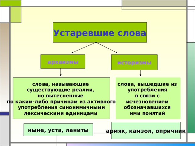 Устаревшие слова архаизмы историзмы слова, называющие существующие реалии, но вытесненные по каким-либо причинам из активного  употребления синонимичными лексическими единицами слова, вышедшие из употребления в связи с исчезновением обозначавшихся ими понятий армяк, камзол, опричник ныне, уста, ланиты 