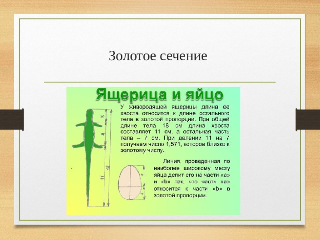 Золотое сечение 