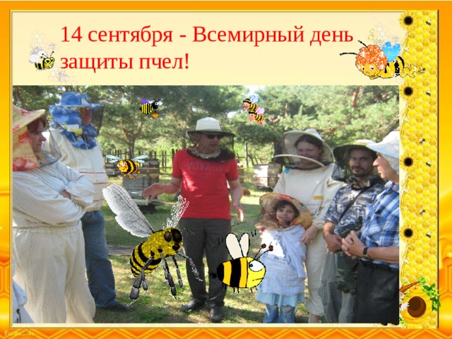 14 сентября - Всемирный день защиты пчел! 