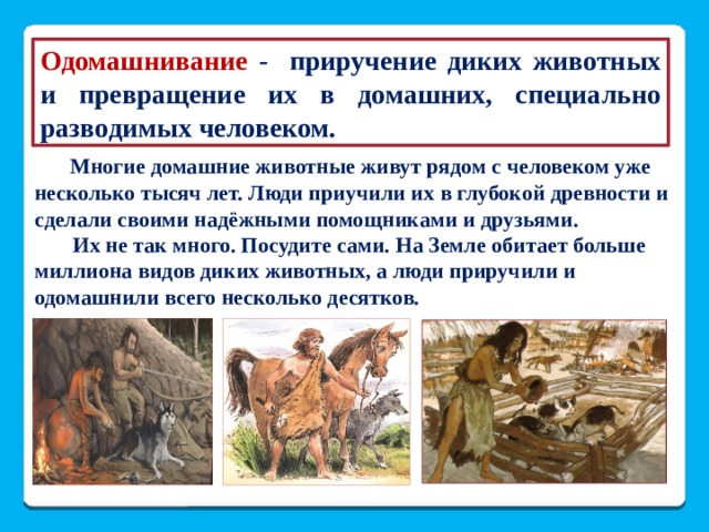 Одомашнивание - приручение диких животных и превращение их в домашних, специально разводимых человеком.  Многие домашние животные живут рядом с человеком уже несколько тысяч лет. Люди приучили их в глубокой древности и сделали своими надёжными помощниками и друзьями.  Их не так много. Посудите сами. На Земле обитает больше миллиона видов диких животных, а люди приручили и одомашнили всего несколько десятков. 