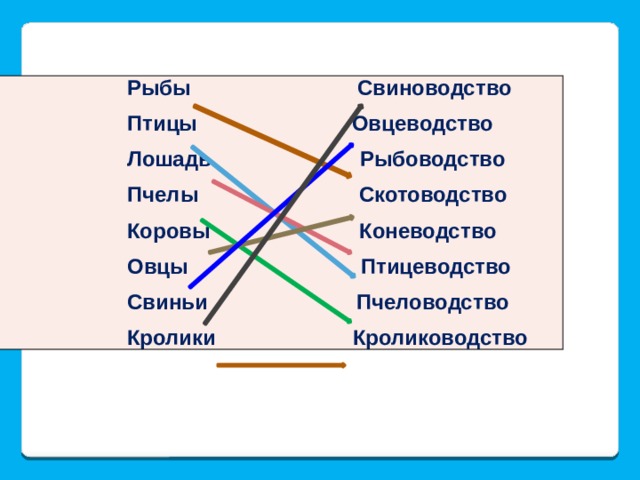  Рыбы                     Свиноводство                                     Птицы                   Овцеводство                                    Лошадь                 Рыбоводство                                    Пчелы                  Скотоводство                                      Коровы                 Коневодство                                    Овцы                      Птицеводство                                    Свиньи                  Пчеловодство                                    Кролики                 Кролиководство 