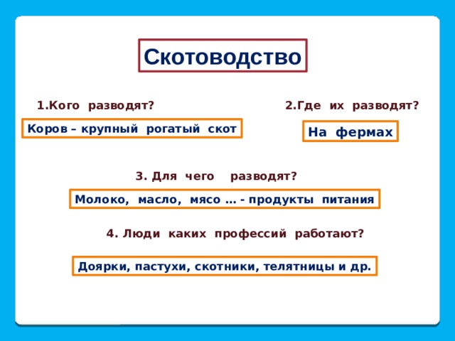 Скотоводство 1.Кого разводят? 2.Где их разводят? Коров – крупный рогатый скот На фермах 3. Для чего разводят? Молоко, масло, мясо … - продукты питания 4. Люди каких профессий работают? Доярки, пастухи, скотники, телятницы и др. 