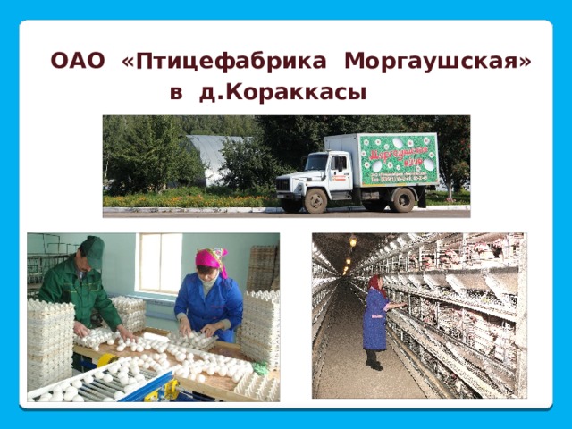 ОАО «Птицефабрика Моргаушская» в д.Кораккасы 
