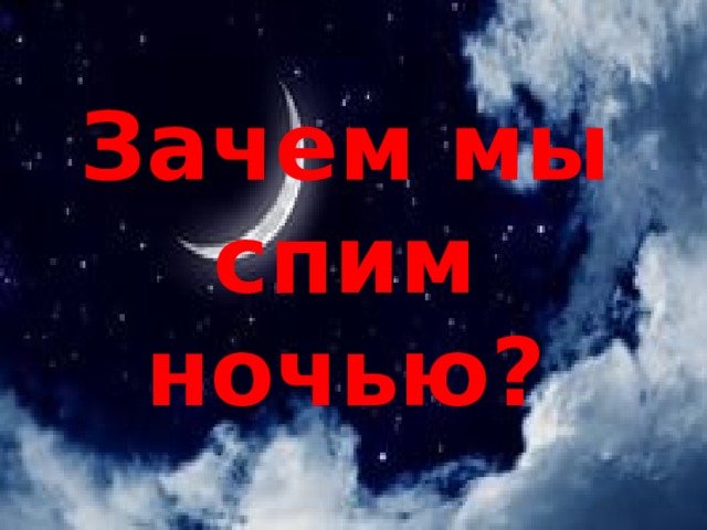 Зачем мы спим ночью? 