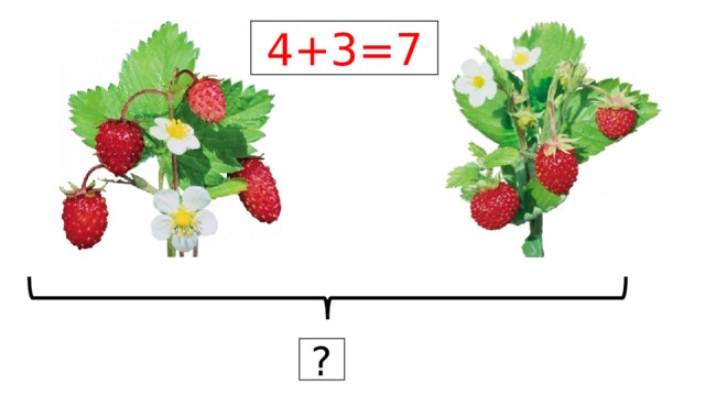 4+3=7 ? 