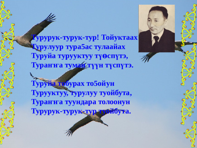 Турурук-турук-тур! Тойуктаах Турулуур тура5ас тулаайах Туруйа турууктуу т үѳ сп ү тэ, Тура ҥҥ а туман т үү н т ү сп ү тэ.  Туруйа тобурах то5ойун Турууктуу, турулуу туойбута, Тура ҥҥ а туундара толоонун Турурук-турук-тур туойбута. 